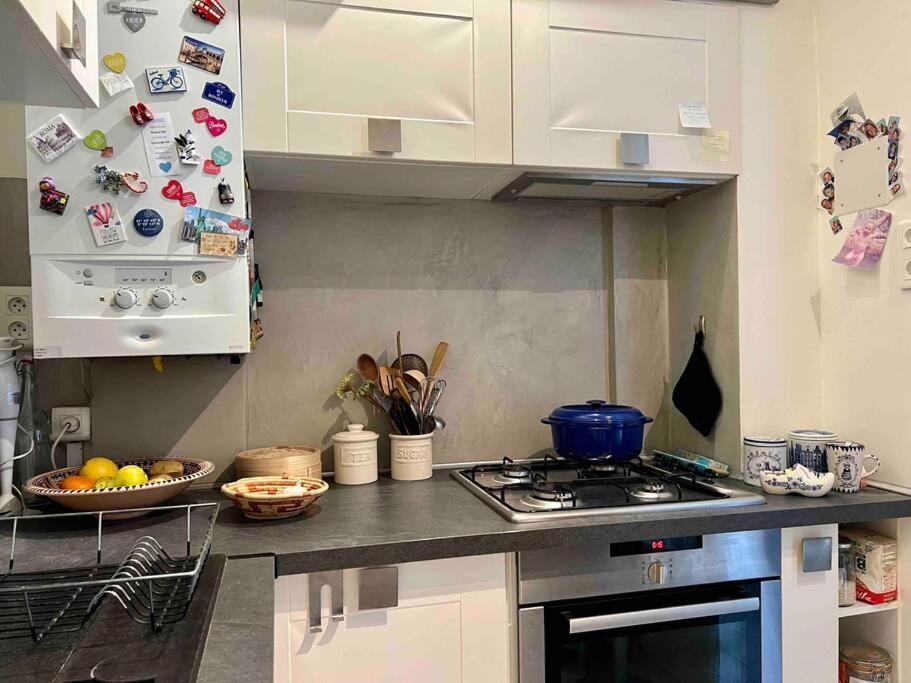 La Charmante Maison Aux Volets Bleu - *